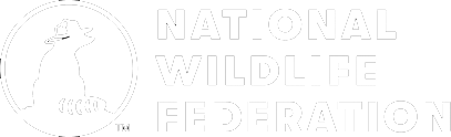 NWF